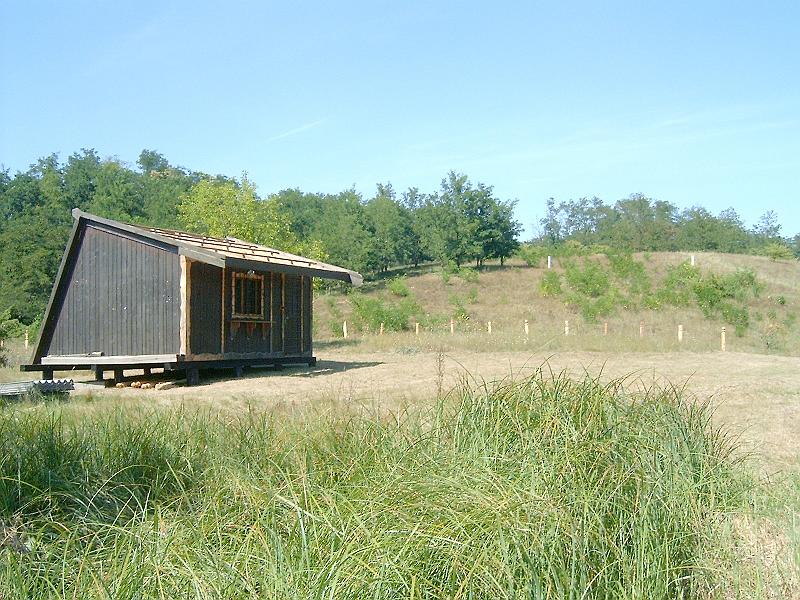 2009.08.20 034.jpg